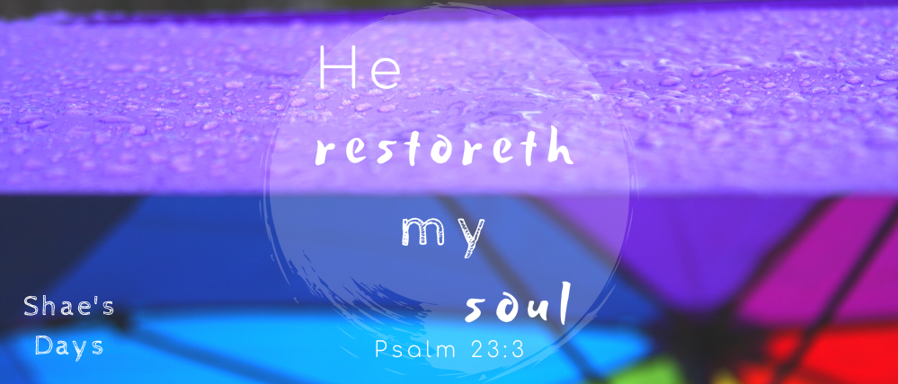 Psalm 23 3 2020 Banner